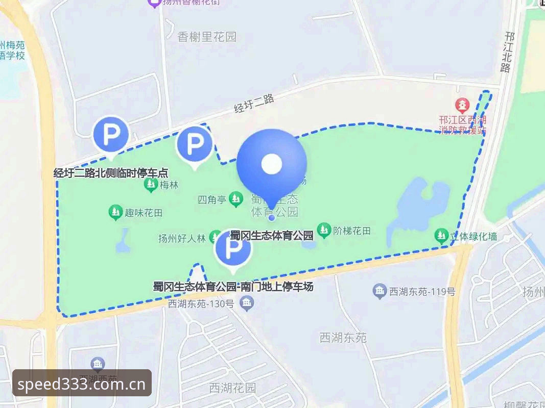 333体育平台登录与赛事互动完整指南：从官网入口到手机版下载的实战操作